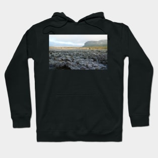 Morning Frost, Mt Oakleigh, The Overland Track Hoodie